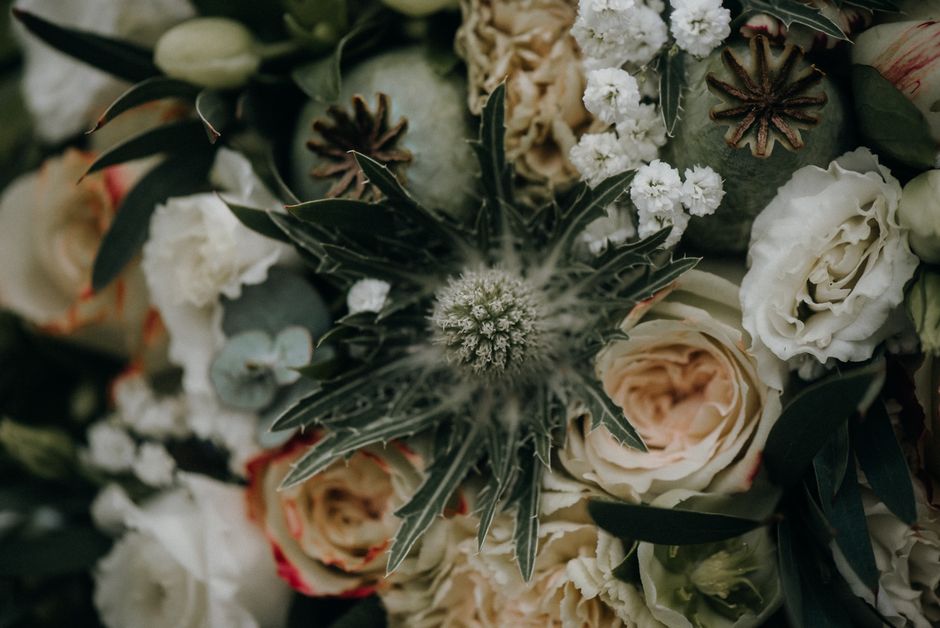 A close-up of a floral arrangement featuring cream and blush roses with tightly layered petals, white spray carnations, small white gypsophila clusters, and a spiky thistle with silvery-green, jagged